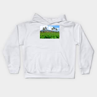 Tropical Plantation Maui Study 32 Kids Hoodie